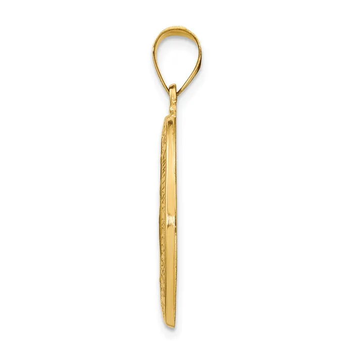 TreasureFineJewelers 14k Yellow Gold Polished and Satin Miraculous Medal Hollow Pendant Necklaces