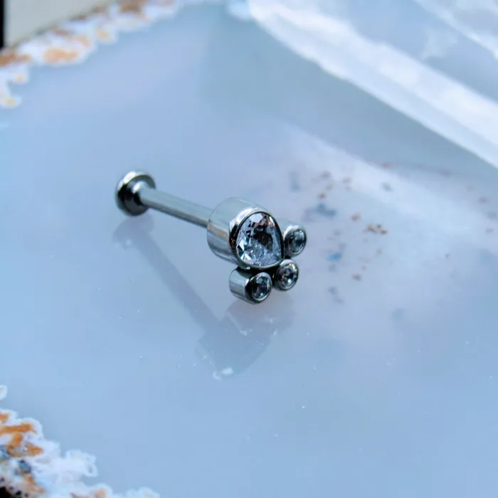 Siren Body Jewelry CZ Gemstone Cluster Body Jewelry Labret Stud 18g Charm Necklaces