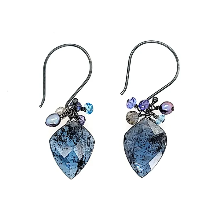 Earrings AVF Oxidized Indigo Kyanite Tahitian Pearl Tanzanite Labradorite Blue Topaz Cluster Earrings SI2953 AVF Earrings AVF Oxidized Indigo Kyanite Tahitian Pearl Tanzanite Labradorite Blue Topaz Cluster Earrings SI2953 AVF