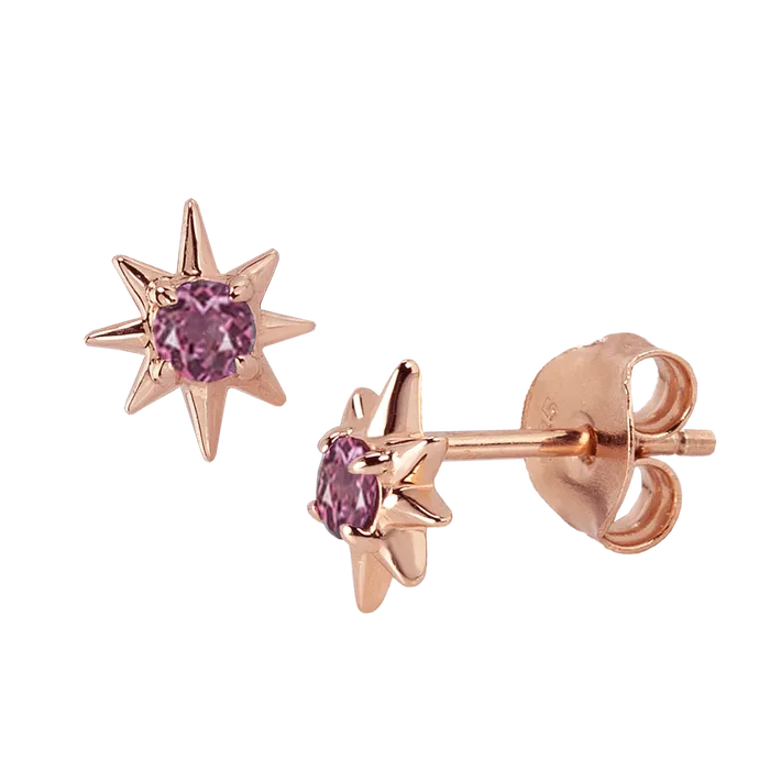 Teeny Garnet Rhodolite Star Earring acemijewelry Earrings