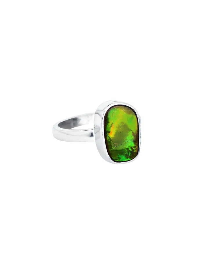 YoTreasure 355 Ct Ammoite Ring Solid 925 Sterling Silver Jewlry Rings