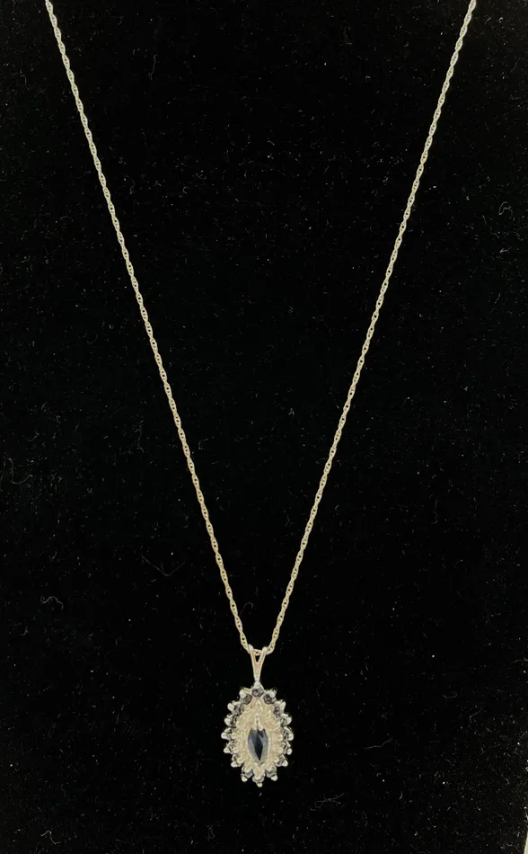 Crown Jewels Coin Necklaces 749 14 Karat White Gold and Sapphire Pendant