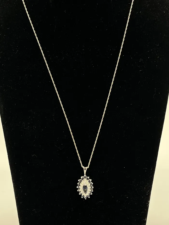 Crown Jewels Coin Necklaces 749 14 Karat White Gold and Sapphire Pendant