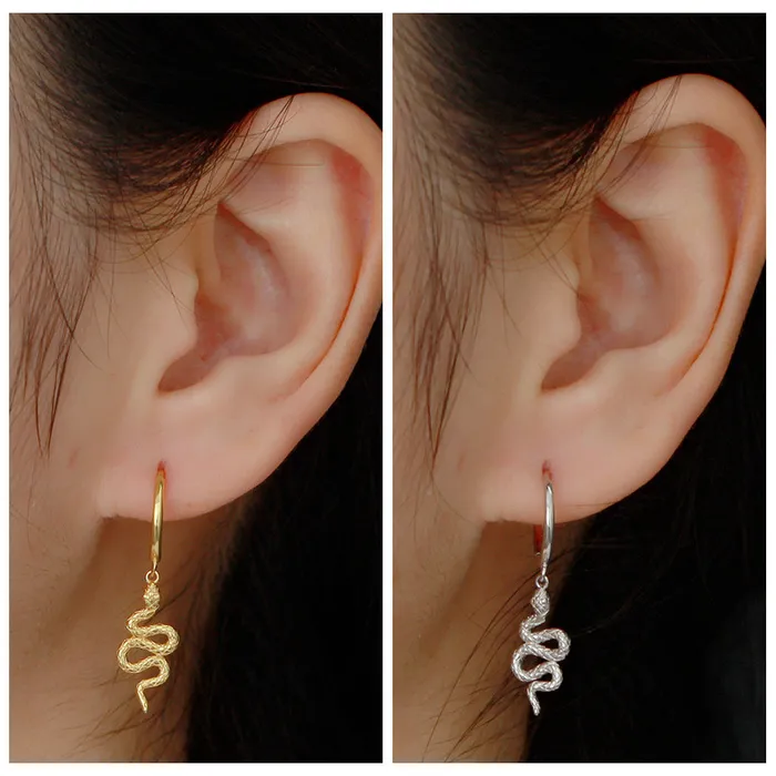Earrings Glitters Sterling Silver Huggie Hoop Earrings with Dangle Snake Silver