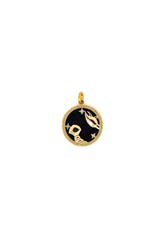 Elizabeth Cole Jewelry Charm Necklaces Black Gold Zodiac Charm