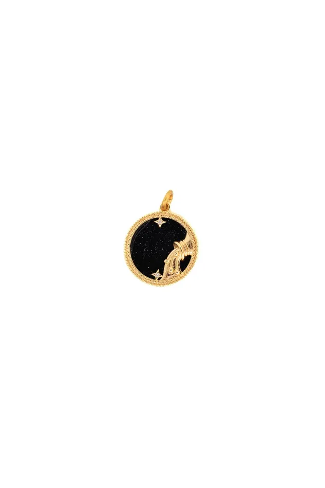 Elizabeth Cole Jewelry Charm Necklaces Black Gold Zodiac Charm Elizabeth Cole Jewelry Charm Necklaces Black Gold Zodiac Charm