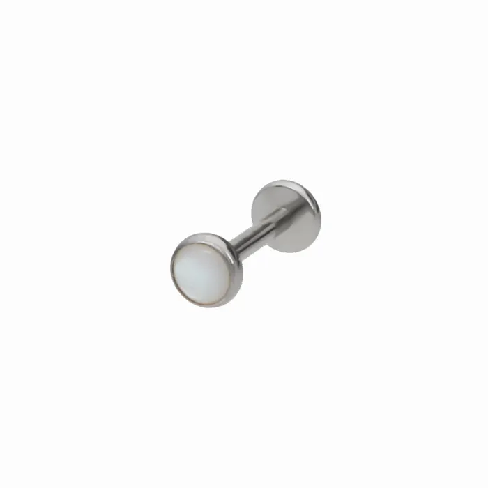 Glitters Earrings White Shell Top Titanium Flat Back Stud Earrings