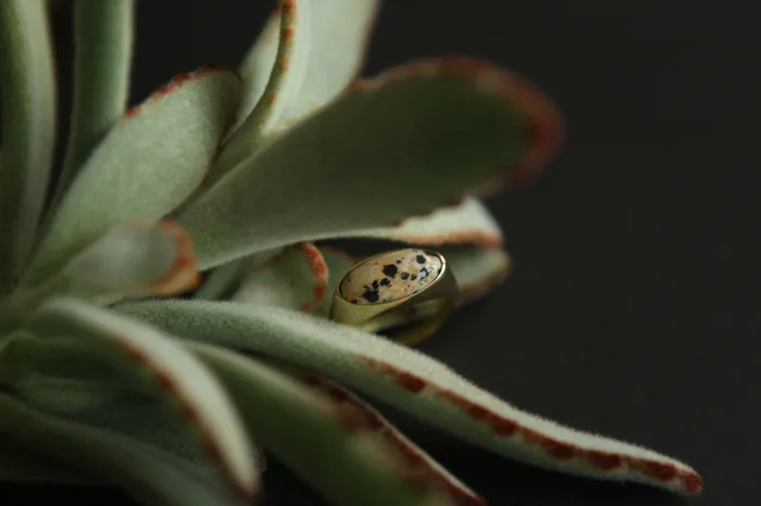 Koda Luxe Ring 14k Gold 14k White Gold Cival Casting Rings