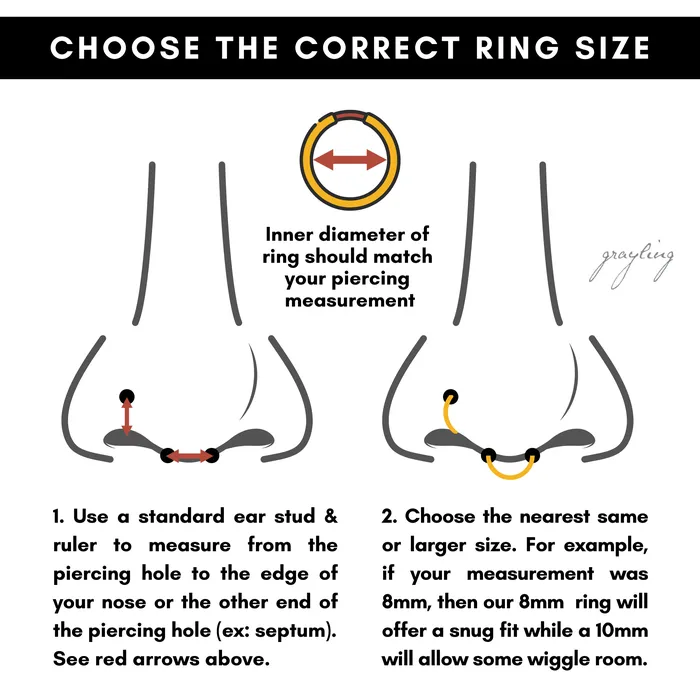 Mya Smooth Hinged Segment Ring Titanium Clicker Hoop for Noses Ears Cartilage Grayling Rings