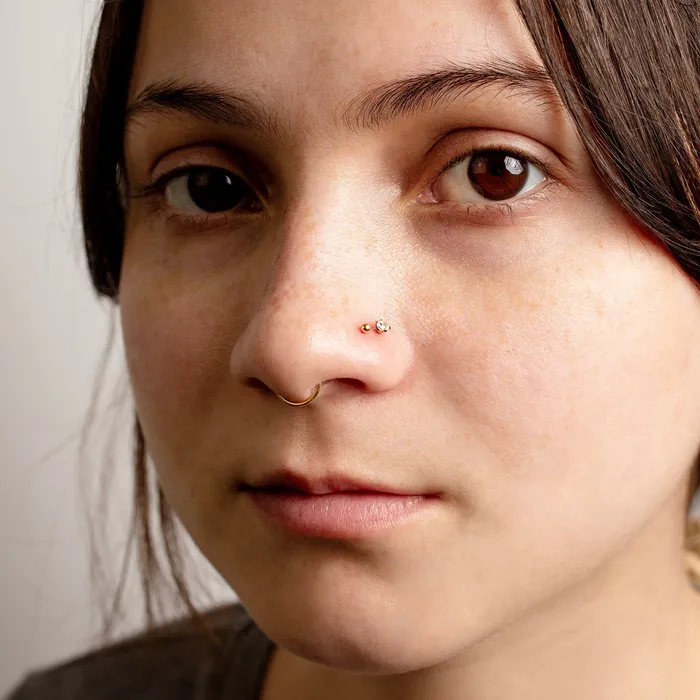 Mya Smooth Hinged Segment Ring Titanium Clicker Hoop for Noses Ears Cartilage Grayling Rings