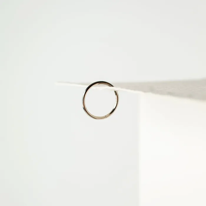 Mya Smooth Hinged Segment Ring Titanium Clicker Hoop for Noses Ears Cartilage Grayling Rings