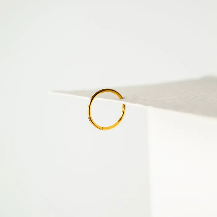 Mya Smooth Hinged Segment Ring Titanium Clicker Hoop for Noses Ears Cartilage Grayling Rings