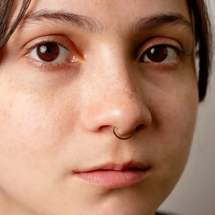 Mya Smooth Hinged Segment Ring Titanium Clicker Hoop for Noses Ears Cartilage Grayling Rings