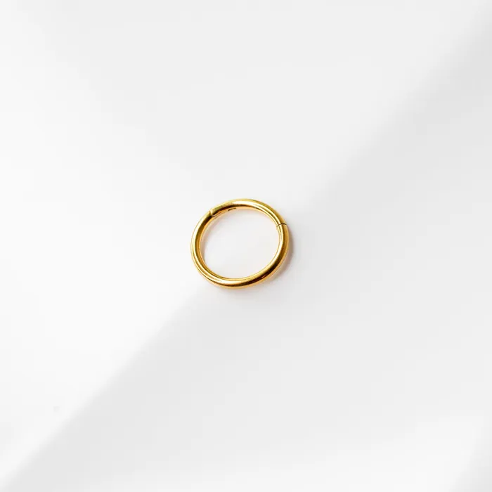 Mya Smooth Hinged Segment Ring Titanium Clicker Hoop for Noses Ears Cartilage Grayling Rings