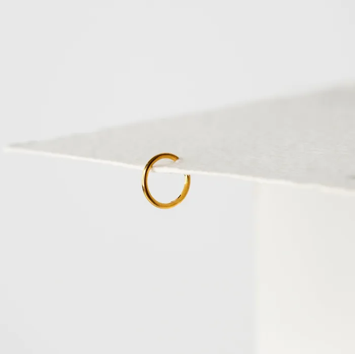 Mya Smooth Hinged Segment Ring Titanium Clicker Hoop for Noses Ears Cartilage Grayling Rings