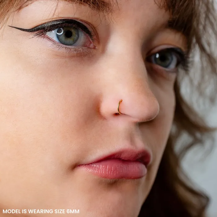 Mya Smooth Hinged Segment Ring Titanium Clicker Hoop for Noses Ears Cartilage Grayling Rings