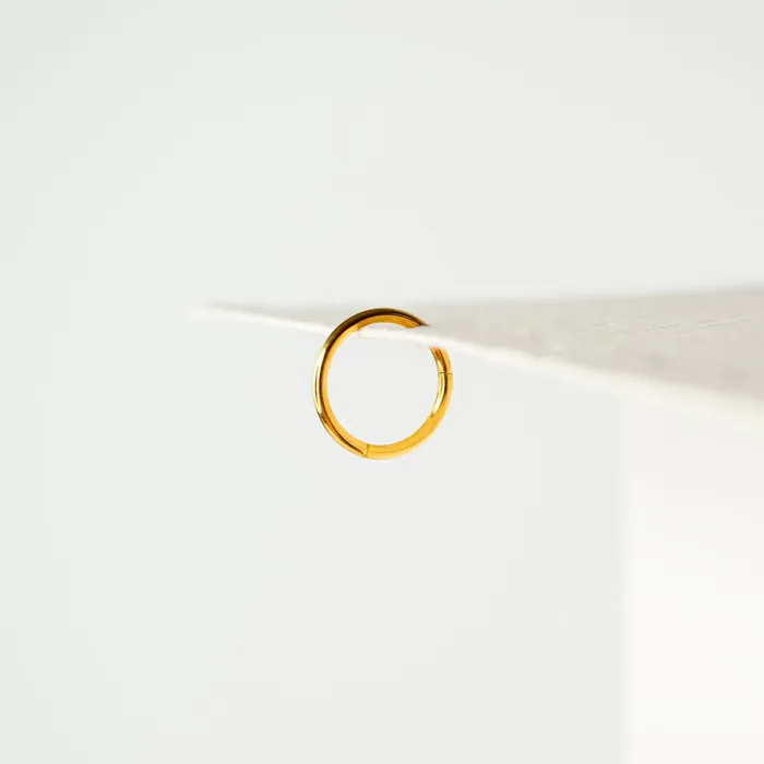 Mya Smooth Hinged Segment Ring Titanium Clicker Hoop for Noses Ears Cartilage Grayling Rings