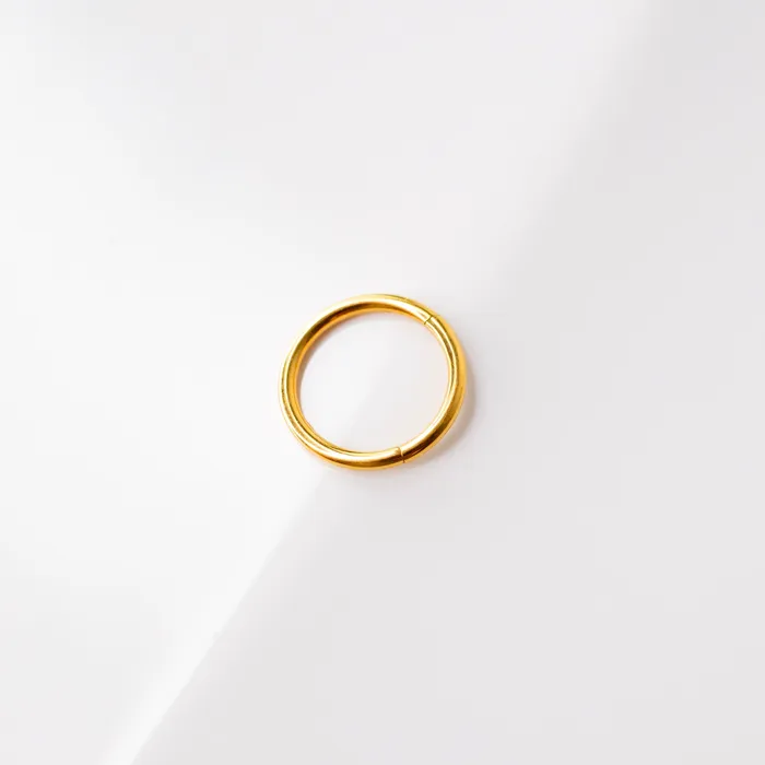 Mya Smooth Hinged Segment Ring Titanium Clicker Hoop for Noses Ears Cartilage Grayling Rings