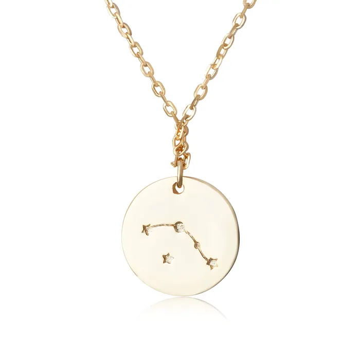 Necklaces N7016 Zodiac Constellation Disc Charm and Necklace Set Teeda