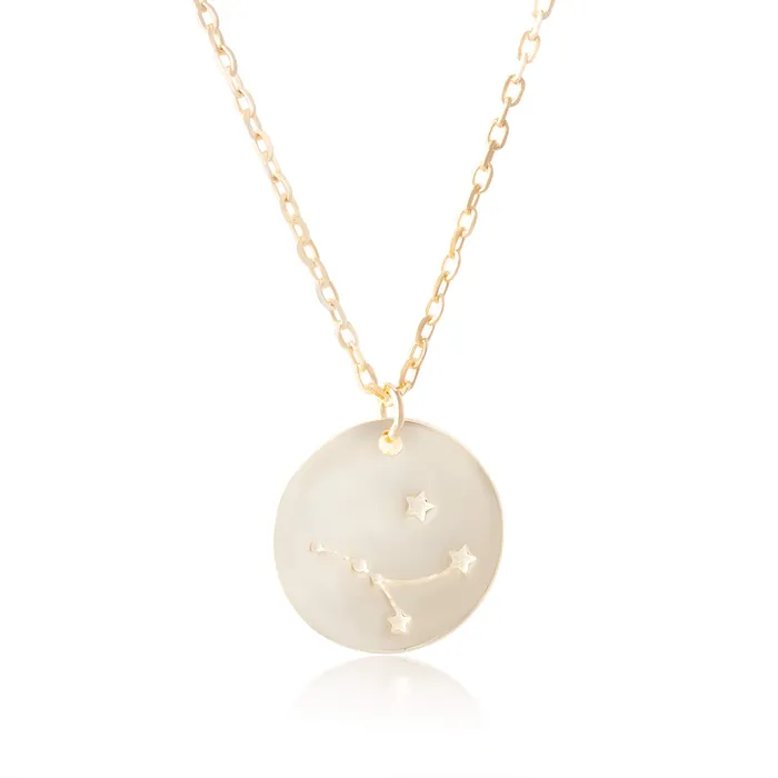 Necklaces N7016 Zodiac Constellation Disc Charm and Necklace Set Teeda