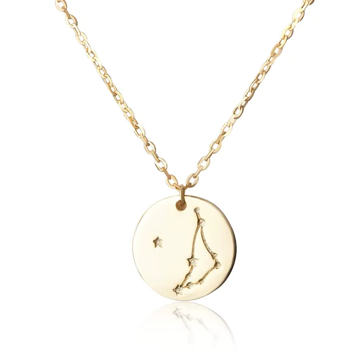 Necklaces N7016 Zodiac Constellation Disc Charm and Necklace Set Teeda