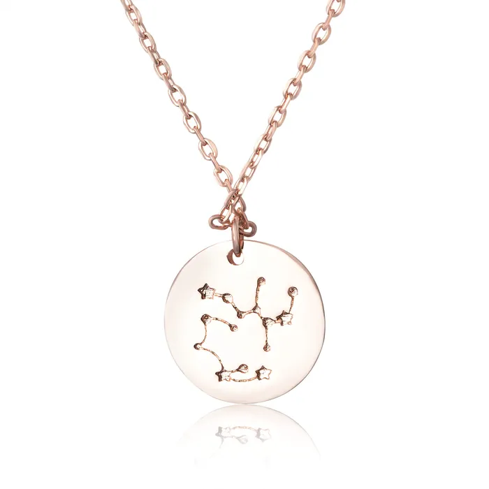 Necklaces N7016 Zodiac Constellation Disc Charm and Necklace Set Teeda