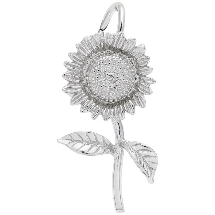REMBRANDT CHARMS Charm Necklaces Precious Charm