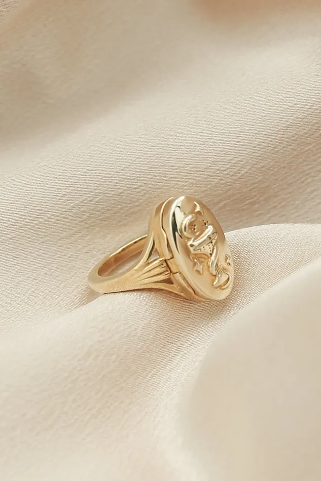 Rings Cival Casting Isla Snake Locket Ring