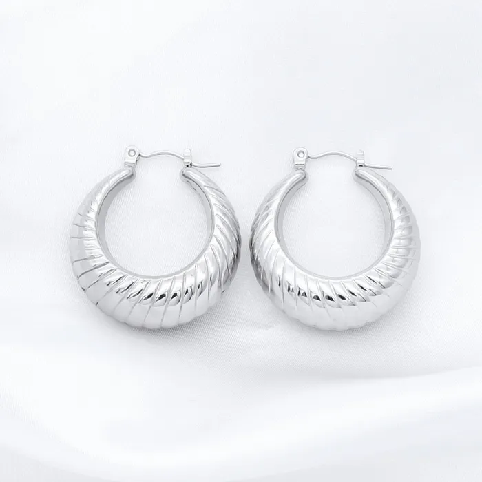 Stainless Steel Twisted Pattern Hoop Earrings Silver Glitters Earrings