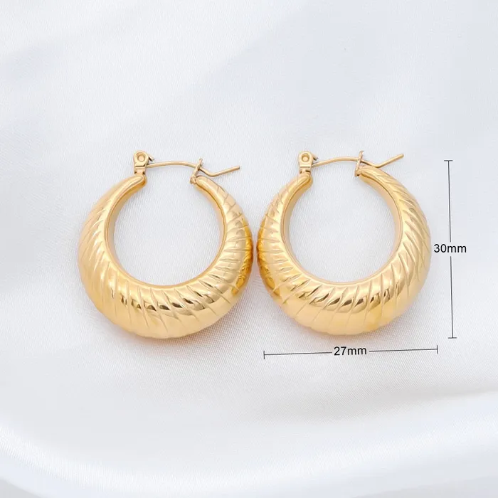 Stainless Steel Twisted Pattern Hoop Earrings Silver Glitters Earrings