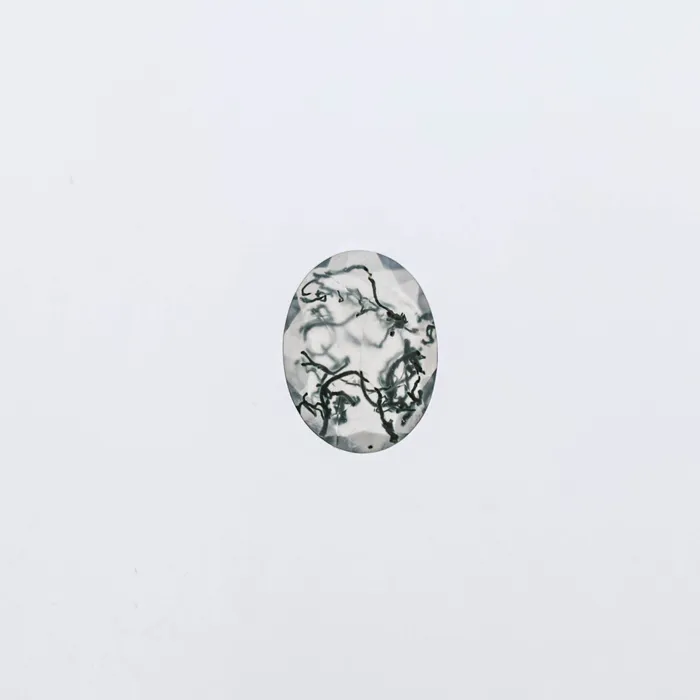 VENVS The Aurora 14k White Size 10 Stone MOS17 Cinque Ring Box Custom Engraving 0 Rings VENVS The Aurora 14k White Size 10 Stone MOS17 Cinque Ring Box Custom Engraving 0 Rings